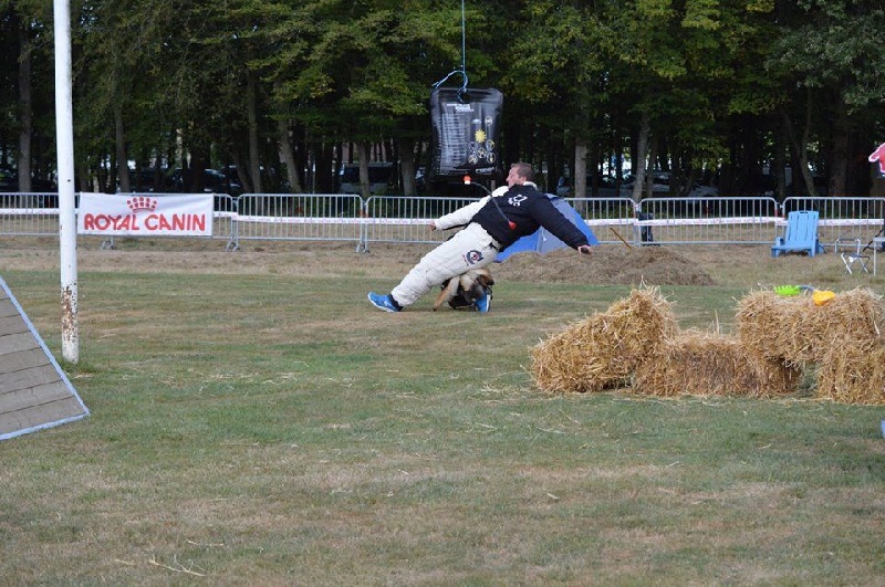 C.F.C.B.B Grand Prix Leon Destailleur 2016